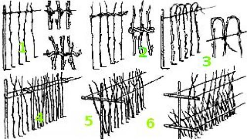 Шпалера для малины размеры. Одноплоскостная и двухплоскостная — сложности выбора