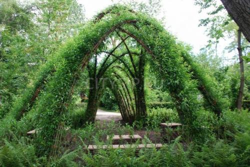 Какие деревья сажать возле дома — приметы на удачу 08 Какие деревья сажать возле дома — приметы на удачу 08