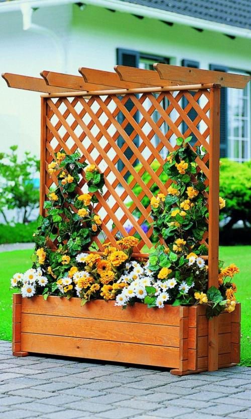 Шпалера своими руками чертежи. Шпалера своими руками: стильное украшение сада, применение в ландшафтном дизайне, изготовление из различных материалов, инструкции с чертежами и фото