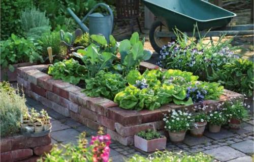 Клумбы из кирпича - красивое решение. Клумбы из кирпича – инструкция, как построить клумбу и обзор их разновидностей (120 фото + видео)