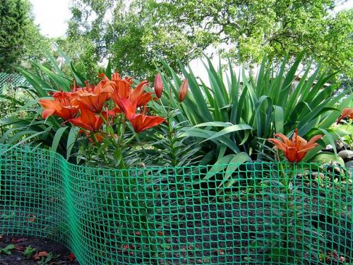 Забор садовый пластиковый. Забор из пластика: когда лучше использовать такую конструкцию