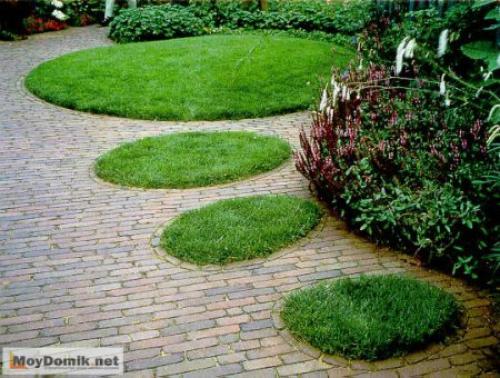 Красивый палисадник перед домом своими.. Красивый палисадник перед домом — 50 фото идей для вдохновения 17