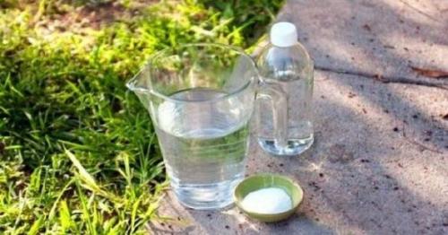 Моющее средство от сорняков на основе уксуса и соли. Преимущества и недостатки борьбы с сорняками уксусом и солью 07 Моющее средство от сорняков на основе уксуса и соли. Преимущества и недостатки борьбы с сорняками уксусом и солью 07