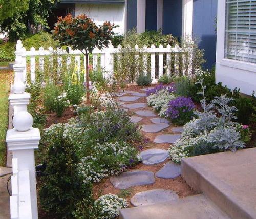 Клумбы во дворе частного дома — свежие 25 фото идей