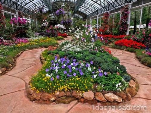 Клумбы во дворе частного дома — свежие 25 фото идей