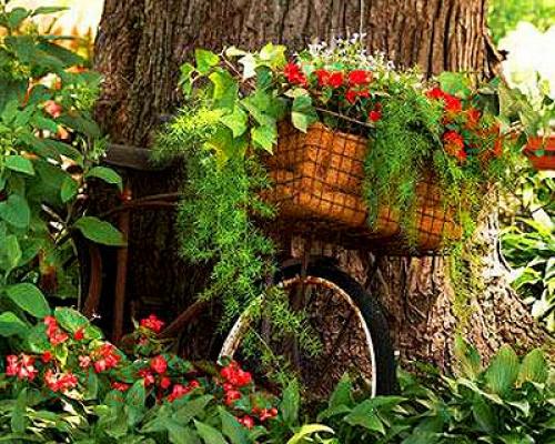 Клумбы во дворе частного дома — свежие 25 фото идей