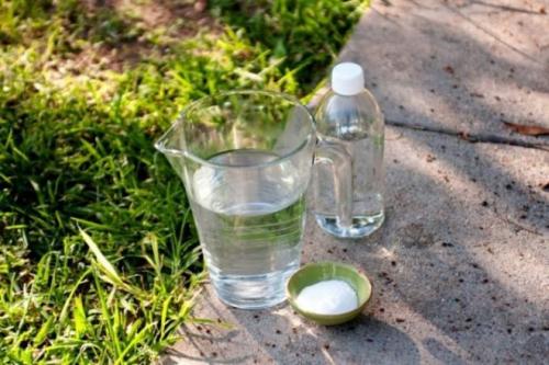 Гремучая смесь для сорняков. Делаем простое средство от сорняков