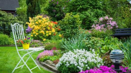 Клумбы во дворе частного дома своими руками. Клумбы: как украсить участок своими руками