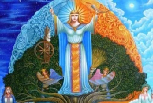 Деревья во дворе. Растения для городских условий. Кто самый выносливый? 26 Деревья во дворе. Растения для городских условий. Кто самый выносливый? 26