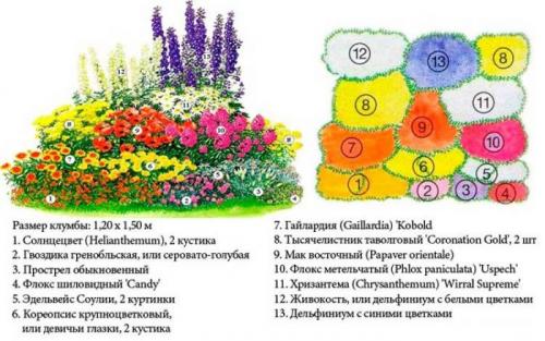 Простые клумбы своими руками. Клумба и цветник своими руками для начинающих: идеи, их реализация