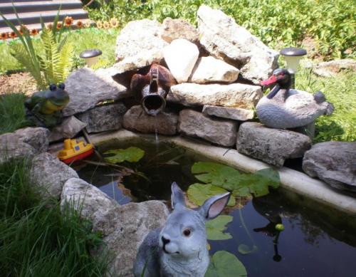 Красивый пруд на даче. Пруд на даче: подробная пошаговая инструкция, как выкопать и оформить пруд своими руками (105 фото)