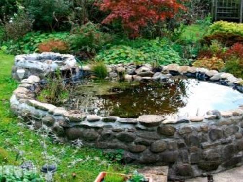 Красивый пруд на даче. Пруд на даче: подробная пошаговая инструкция, как выкопать и оформить пруд своими руками (105 фото) 14