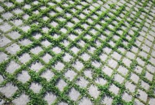 Избавиться от травы между плитками с помощью уксуса. Как удалить траву между тротуарной плиткой