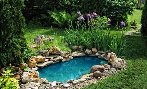 Красивый пруд на даче. Пруд на даче: подробная пошаговая инструкция, как выкопать и оформить пруд своими руками (105 фото) 32