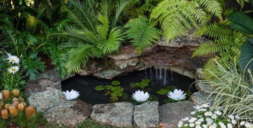 Красивый пруд на даче. Пруд на даче: подробная пошаговая инструкция, как выкопать и оформить пруд своими руками (105 фото) 31