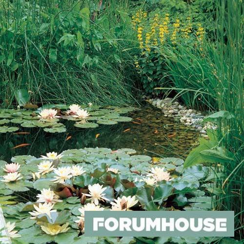 Искусственный водоем на даче. Пруд с точки зрения закона