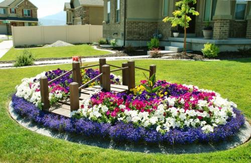 Цветочная клумба на даче из многолетников для начинающих схемы с подробным описанием. Клумбы из многолетников: правила и особенности выращивания для новичков (85 фото)