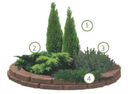 Цветник с камнями своими руками. Клумба из камней своими руками: как выложить цветник пошагово, фото