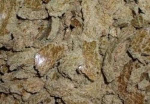 Что можно давать цыплятам бройлерам. Видео в тему: чем кормить в первый день