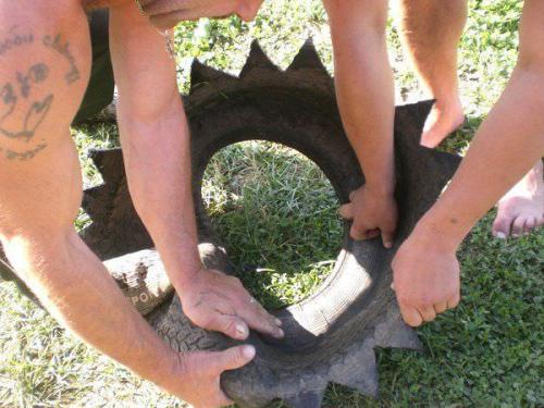 Красивые клумбы своими руками возле дома. Красивый палисадник перед домом — 50 фото идей для вдохновения 21