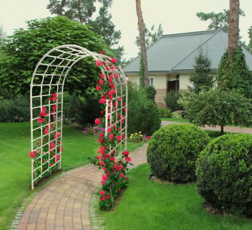 Арка в саду на даче кованная. Садовая арка – функции в ландшафтном дизайне