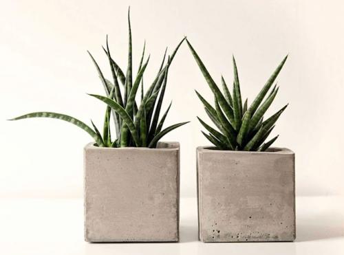 Горшок для цветов своими руками из цемента. Горшки для цветов из цемента и ткани (тряпки) своими руками, фото