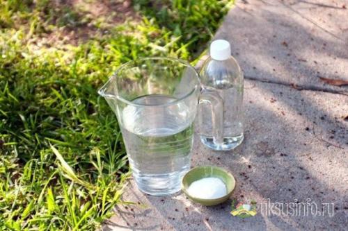 Соль и уксус от сорняков на дорожках. Уксус против сорняков: оптимальные пропорции