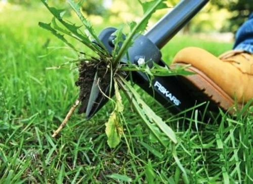 Как избавиться от сорняков и травы легко и надолго. Механические способы