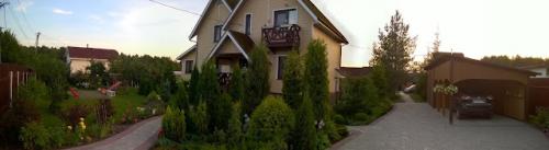 Что посадить вместо газона, чтобы его не косить. Газон, который не надо косить.