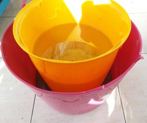 Горшок для цветов своими руками из цемента. Горшки для цветов из цемента и ткани (тряпки) своими руками, фото