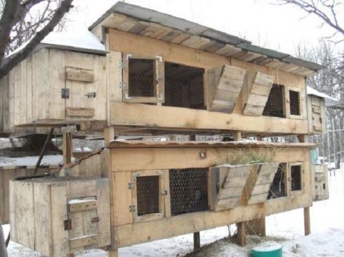 Как построить крольчатник своими руками. Крольчатник своими руками: планирование, чертежи, схемы, проекты и дизайн (110 фото) 15