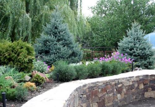 Какое дерево можно посадить возле дома. Деревья возле дома — виды которые можно и нельзя сажать. 100 фото лучших вариантов для посадки 19