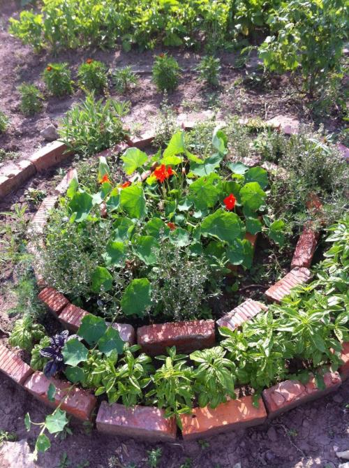 Клумба из кирпича своими руками на даче. Клумбы из кирпича —, как красиво сложить своими руками? 115 фото и советы дизайнеров