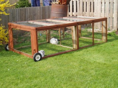 Как построить крольчатник своими руками. Крольчатник своими руками: планирование, чертежи, схемы, проекты и дизайн (110 фото)