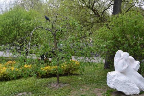 Какие деревья посадить на небольшом участке. Декоративные деревья для небольших участков