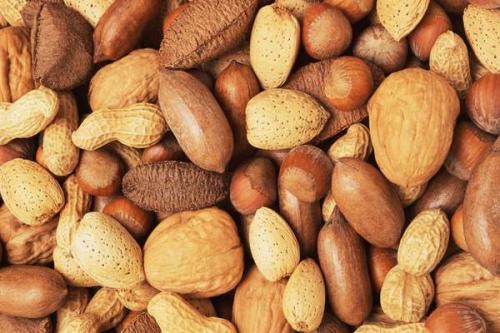 Виды орехов с картинками. Виды орехов с названиями и фото
