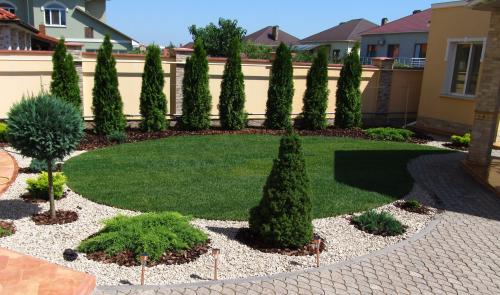 Можно ли сажать тую возле дома. Какая энергетика у туи и можно ли сажать ее рядом с домом