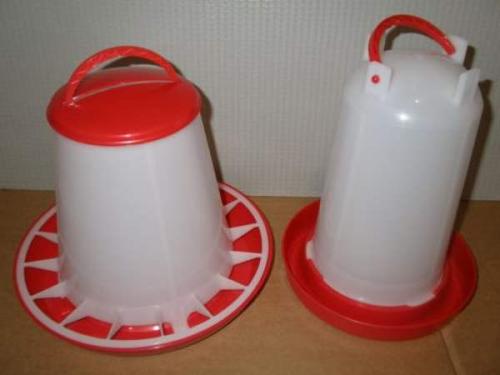 Как держать индюков в домашних условиях. Особенности ухода и условия для содержания молодняка