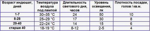 Как держать индюков в домашних условиях. Особенности ухода и условия для содержания молодняка