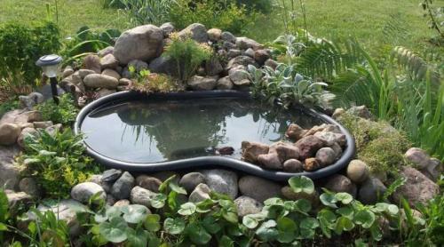 Оформление клумбы с камнями. Цветочная клумба из камней: фото и видео примеры постройки и оформления каменной клумбы