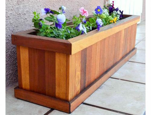 Оформление террасы в частном доме растениями. Какие растения лучше выбирать?