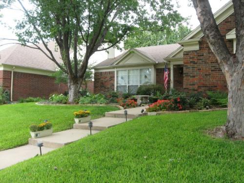 Какое дерево посадить во дворе частного дома. Деревья возле дома — виды которые можно и нельзя сажать. 100 фото лучших вариантов для посадки