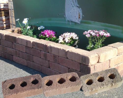Клумба из кирпичей без цемента. Клумбы из кирпича: ТОП-150 фото лучших вариантов современного дизайна, новинки идей, варианты оформления цветника на участке