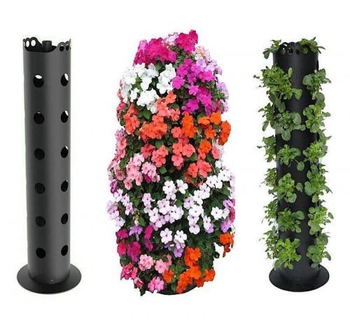 Клумбы и цветники своими руками. Цветники и клумбы на даче (фото)