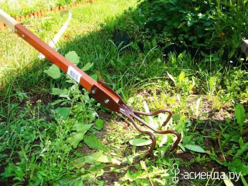 Средство от сорняков своими руками. Лучшие способы избавления от сорняков