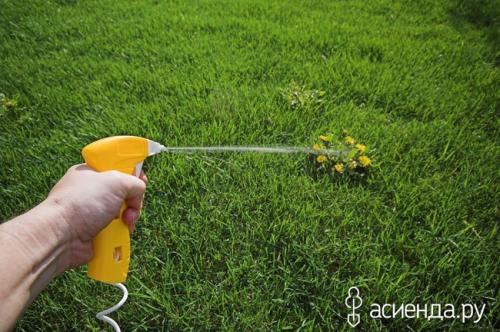 Средство от сорняков своими руками. Лучшие способы избавления от сорняков