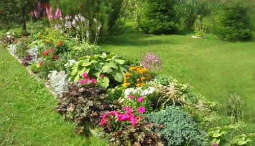 Из каких подручных материалов можно сделать клумбу для цветов. Виды