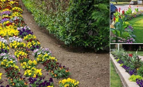 Клумбы и цветники своими руками. Цветники и клумбы на даче (фото)