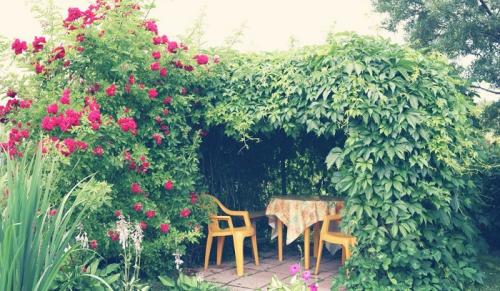 Тюль в беседке на даче. Шторы для беседки: фото-обзоры лучших вариантов, разновидности конструкций, материалов и креплений + идеи красивого оформления штор 25