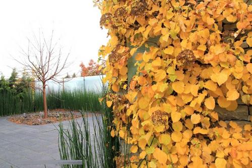 Тюль в беседке на даче. Шторы для беседки: фото-обзоры лучших вариантов, разновидности конструкций, материалов и креплений + идеи красивого оформления штор 33